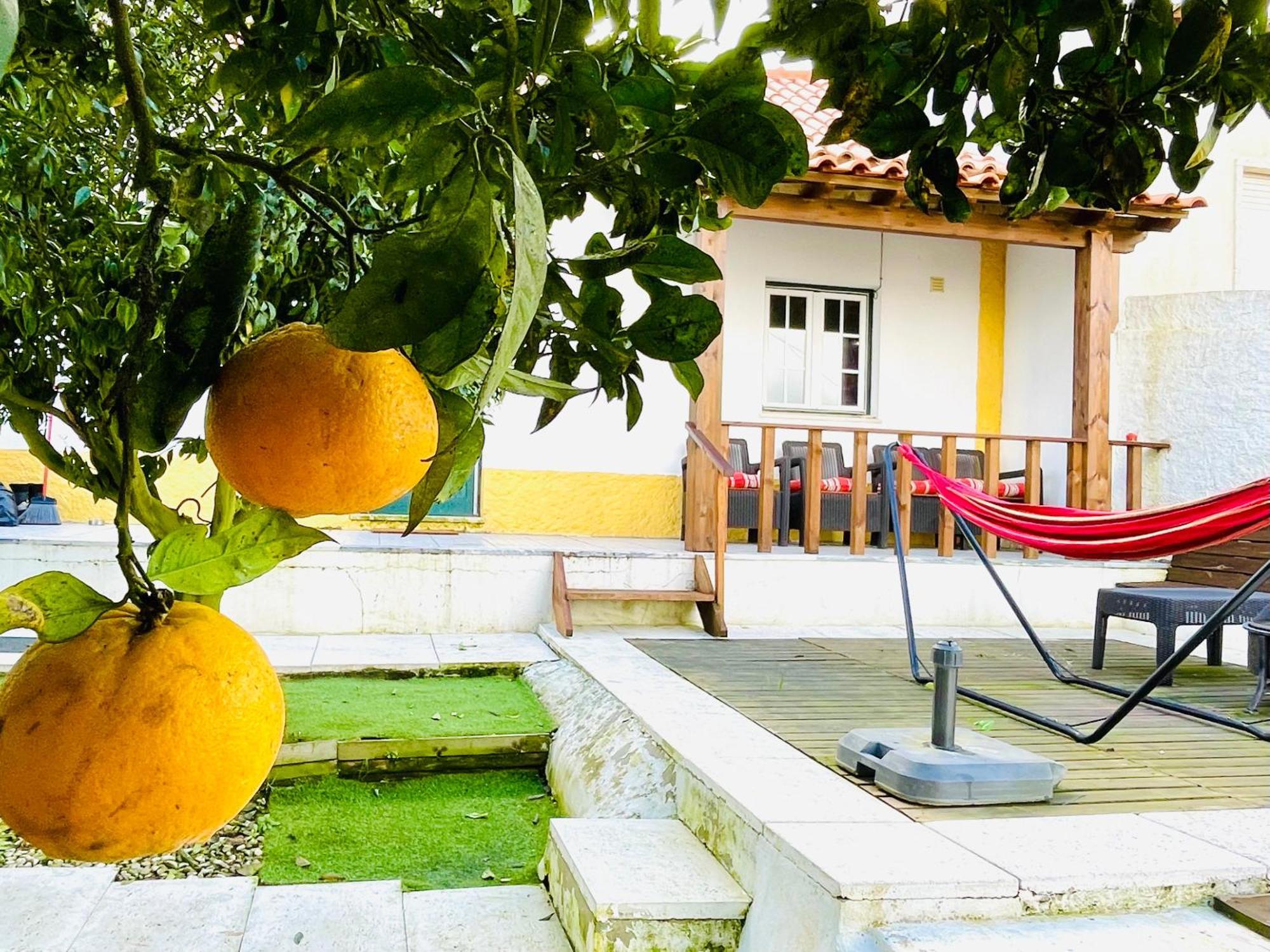 Casa Da Laranjeira Villa Vale Covo  Dış mekan fotoğraf
